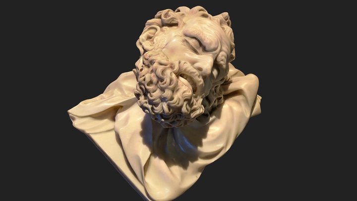 Testa 3D models - Sketchfab