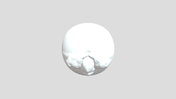My model 3D Model