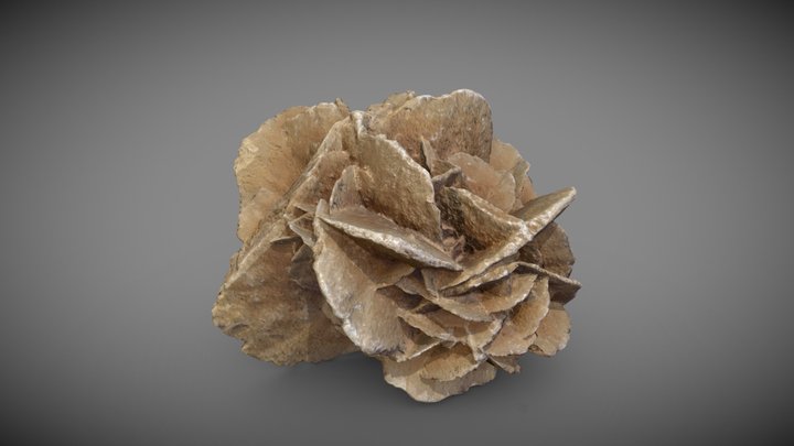 Desert Rose Crystal 3D Model