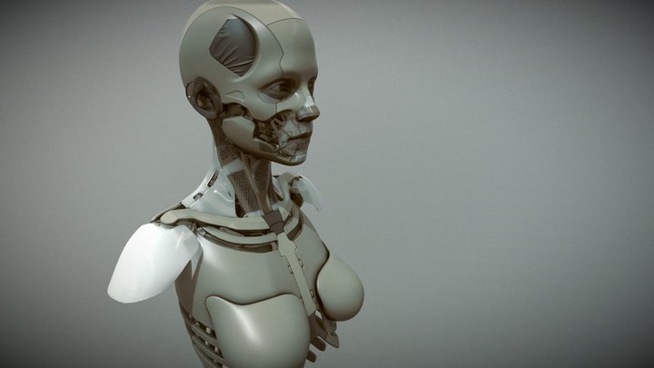 Cyborg hembra aparejada Modelo 3D $189 - .max - Free3D