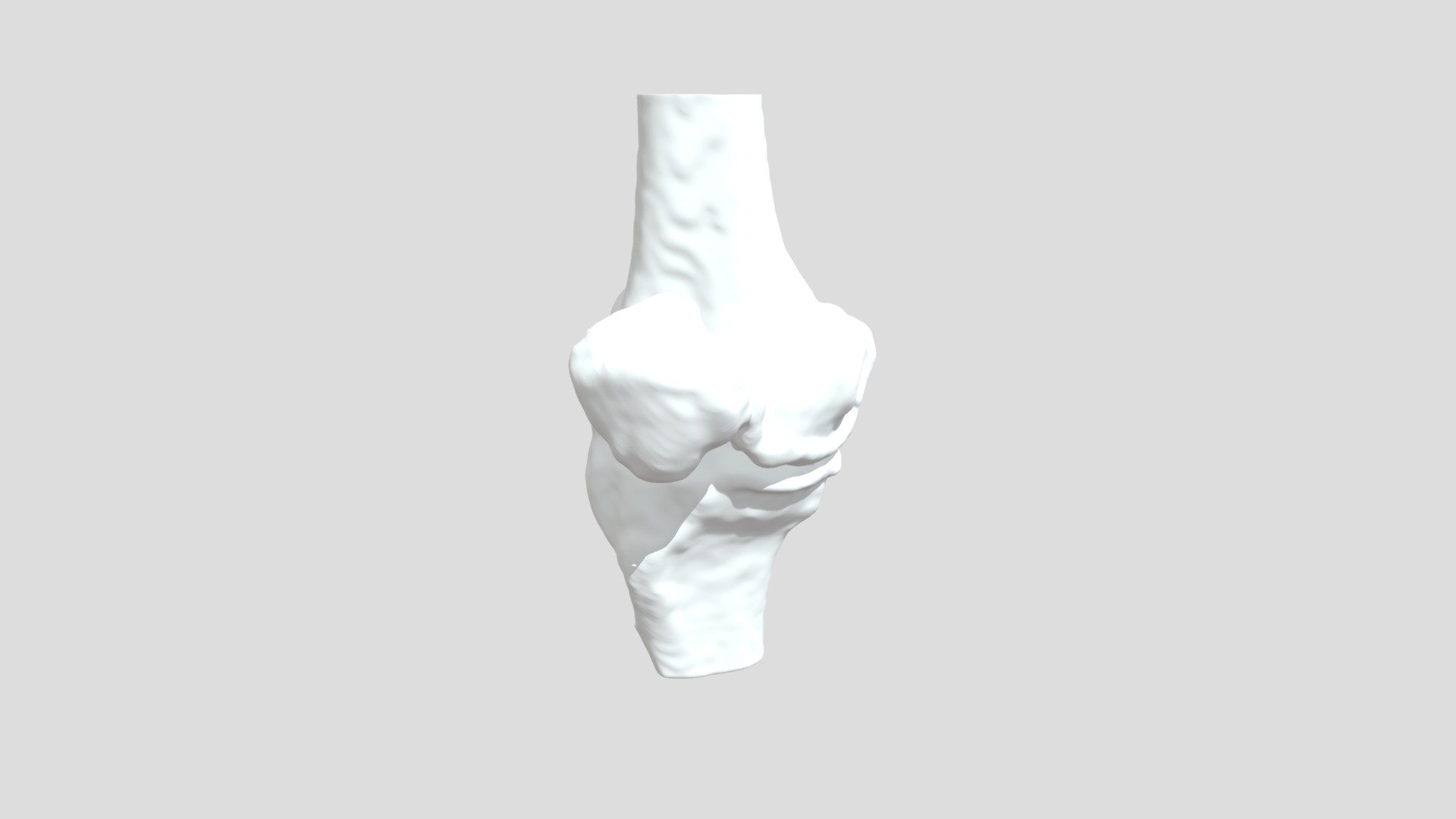 Segmentation Rtbonens