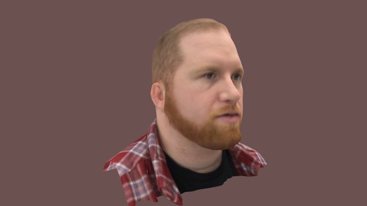 Head Scan 3D Model
