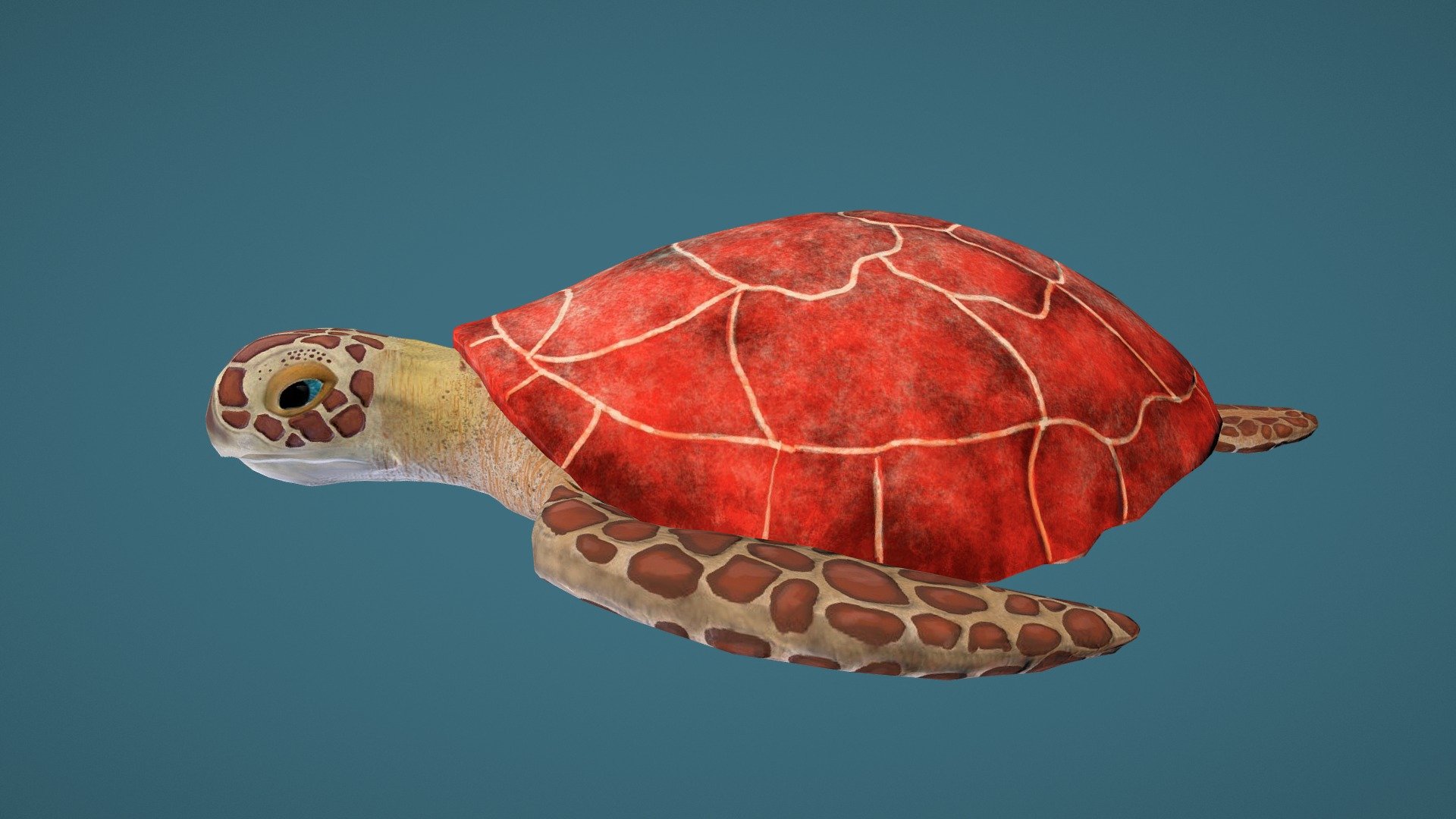 3D Sea Turtle