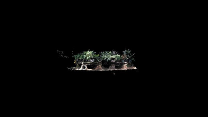 18 PM point cloud 3D Model