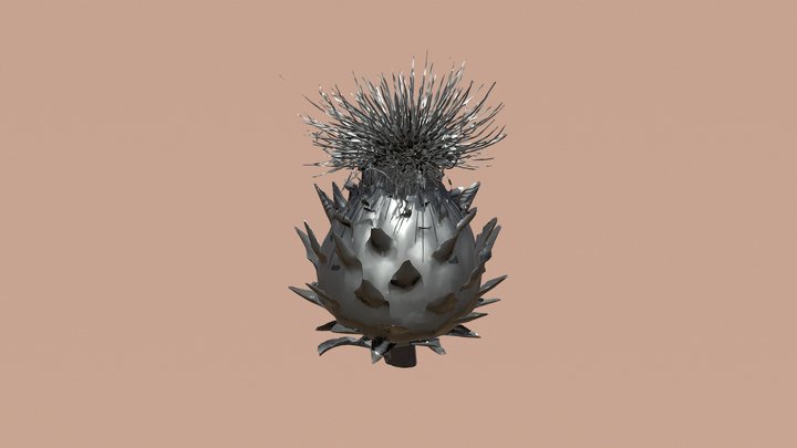 Thistle 3D Model