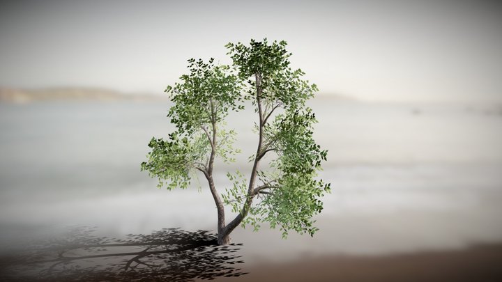 Realistic Tree Vol.1 3D Model