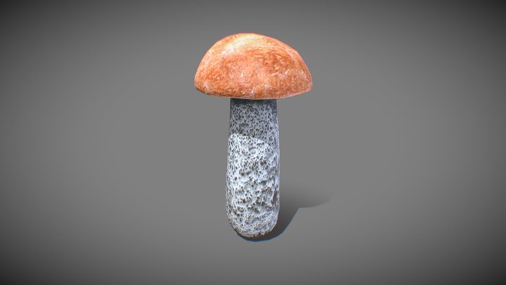mushroom Leccinum 3D Model