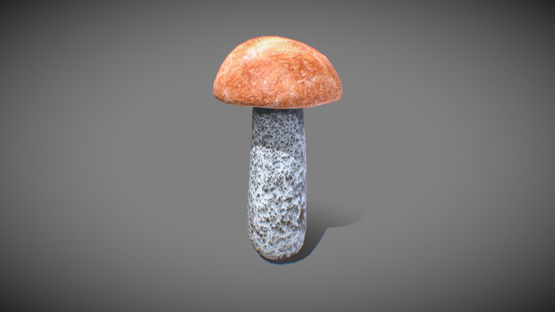mushroom Leccinum