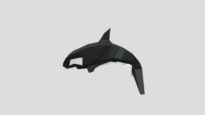 Orca 3D Model