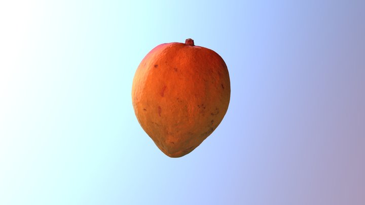 Mango 3D Model