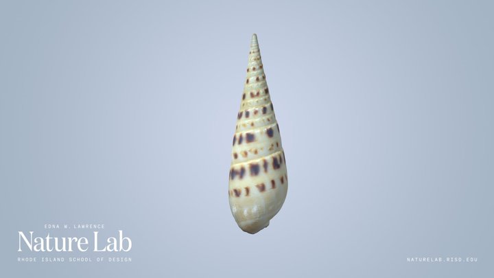 Marlinspike Auger – Free 3D Model STL