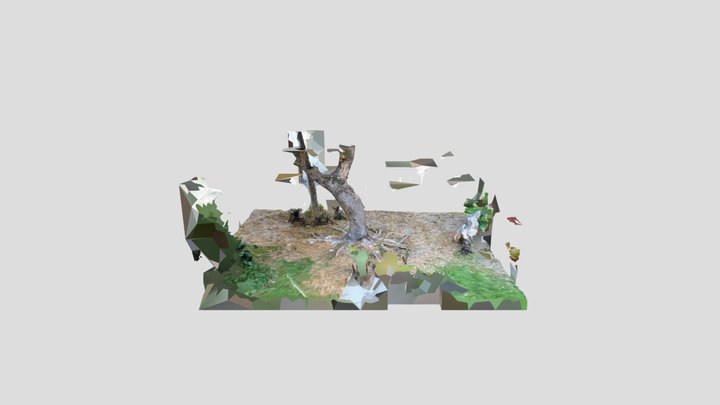 Tronco de Arbol 3D Model