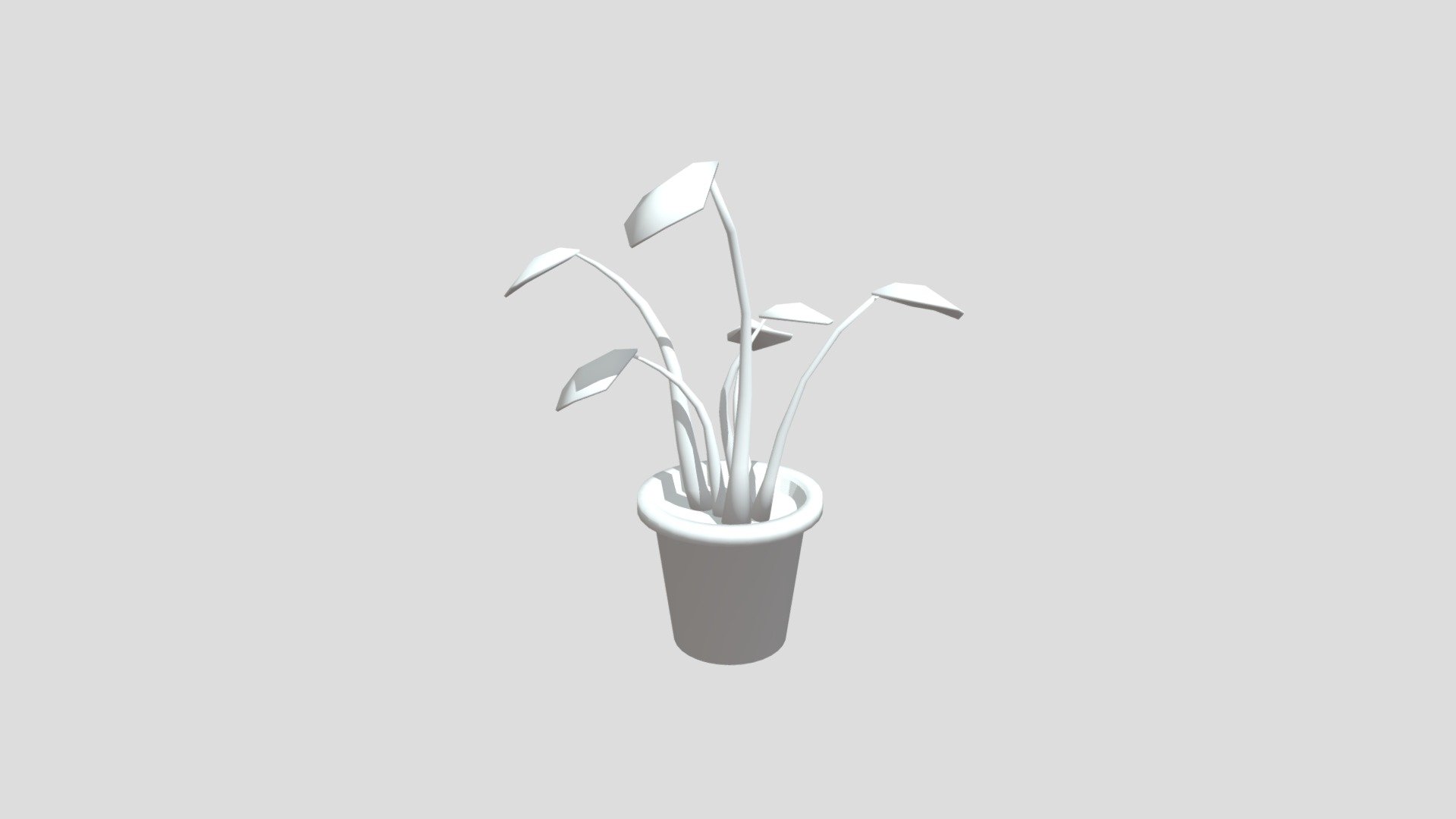 Plants #3December2020-Plant
