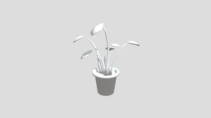 Plants #3December2020-Plant 3D Model