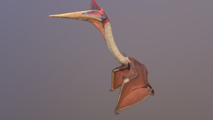 Quetzalcoatlus pterosaur 3D Model