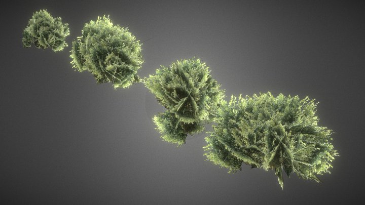 Bushes | Low Poly
