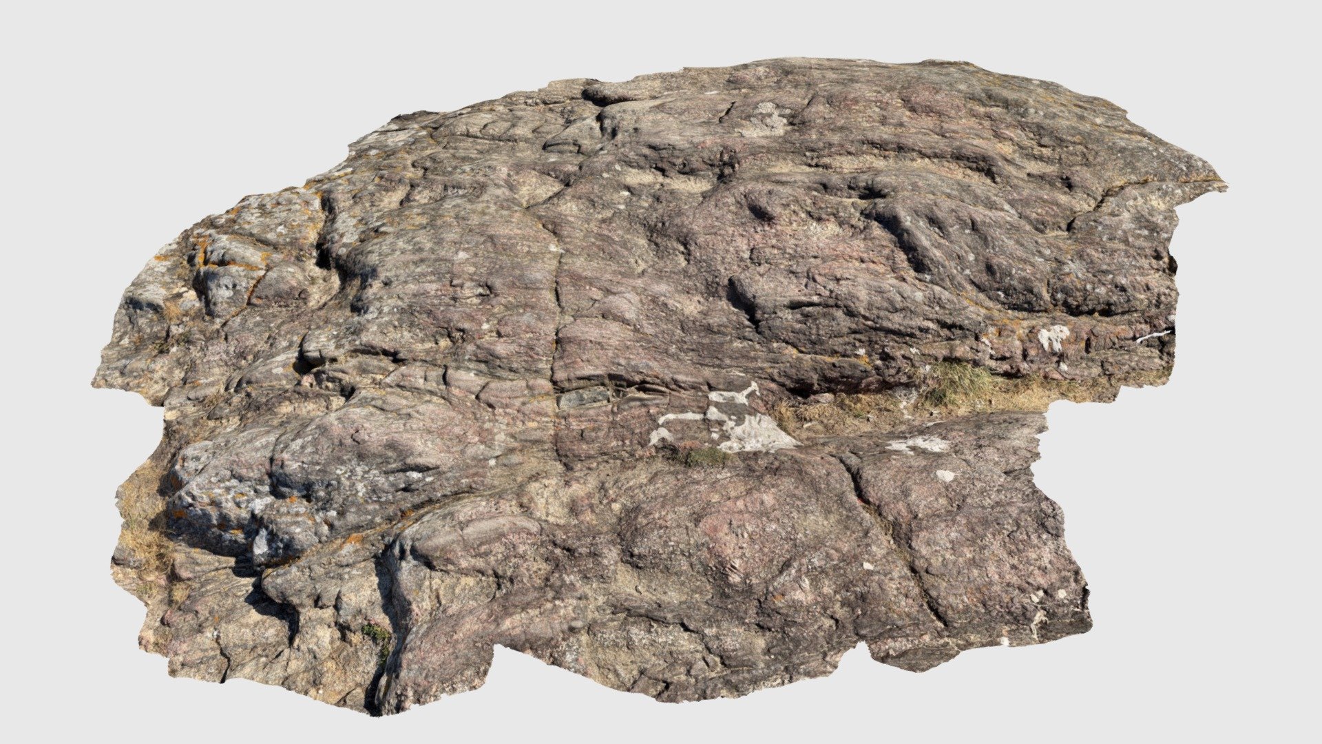 Affleurement de gneiss migmatitique