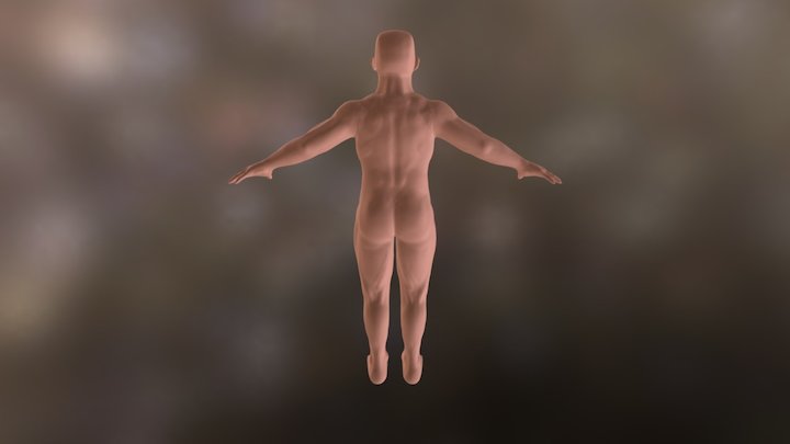 T-posed-dude 3D Model
