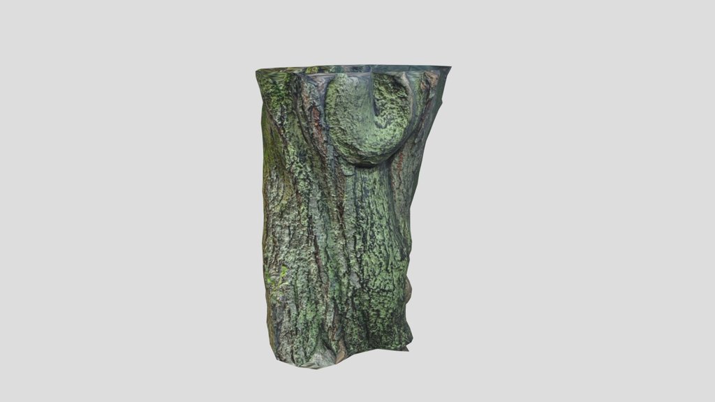 Mossy Tree