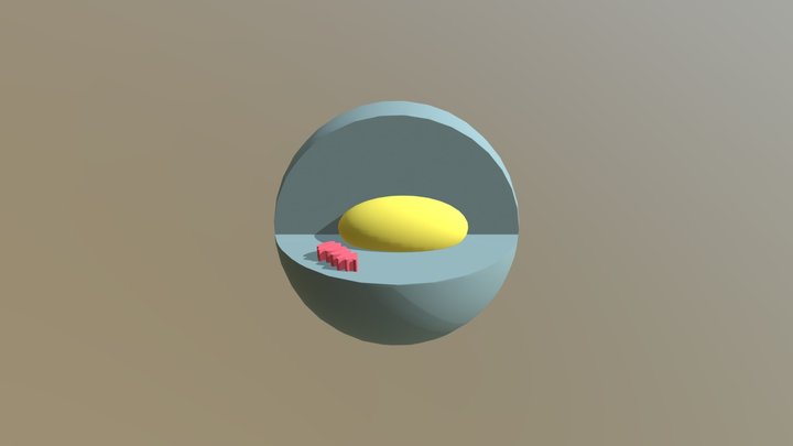 Animal Cell (2) 3D Model