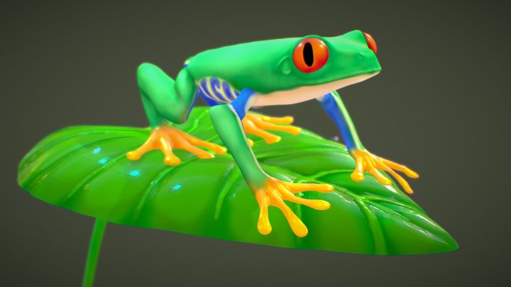 Red Eyed Tree Frog 3D Model