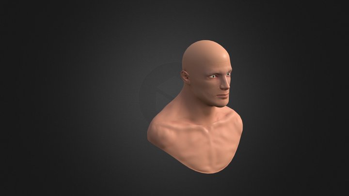 Male_Bust 3D Model
