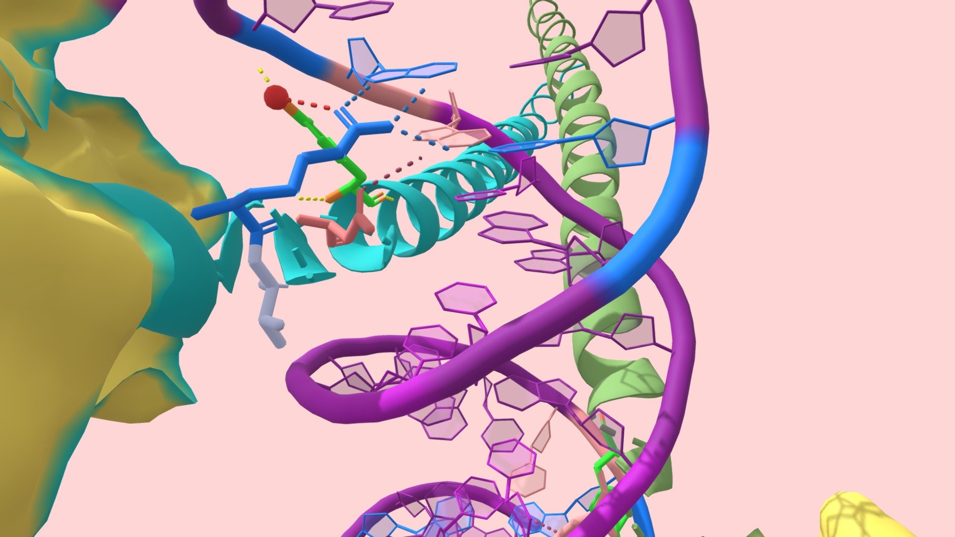 MafG Transcription Factor Complex with MARE - 3D model by ruffymcruff ...
