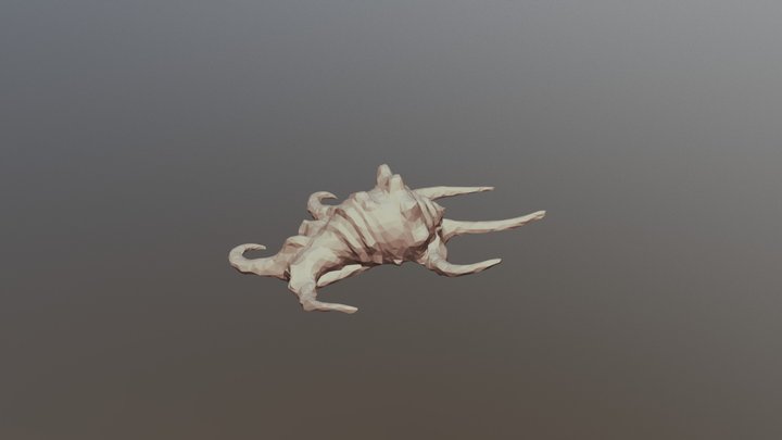 Starfish Seashell 4200poly 3D Model