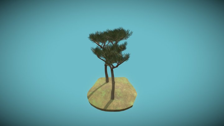 Umbrella pine 3D Model