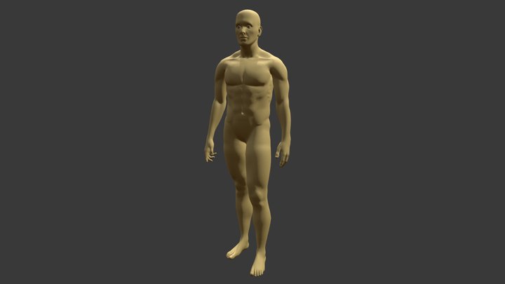 Male Character Model 3D Model