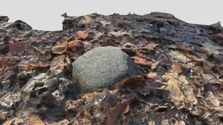 Cool Rock Meshroom 3D Model