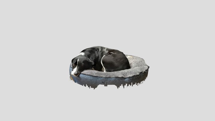 FLaka 3D Model