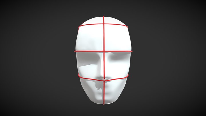 Loomis Head 3D Model