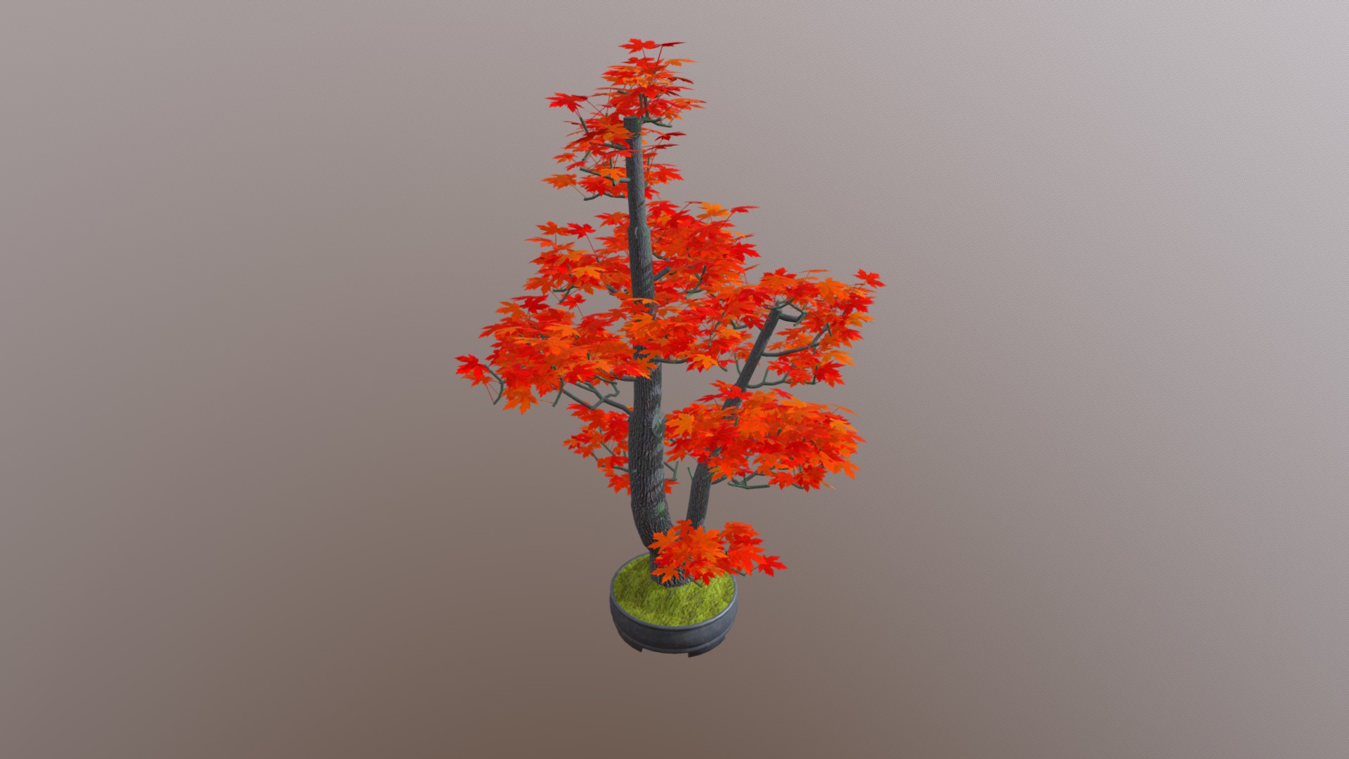 3D model Twin Trunk - This is a 3D model of the Twin Trunk. The 3D model is about a small tree with orange leaves.