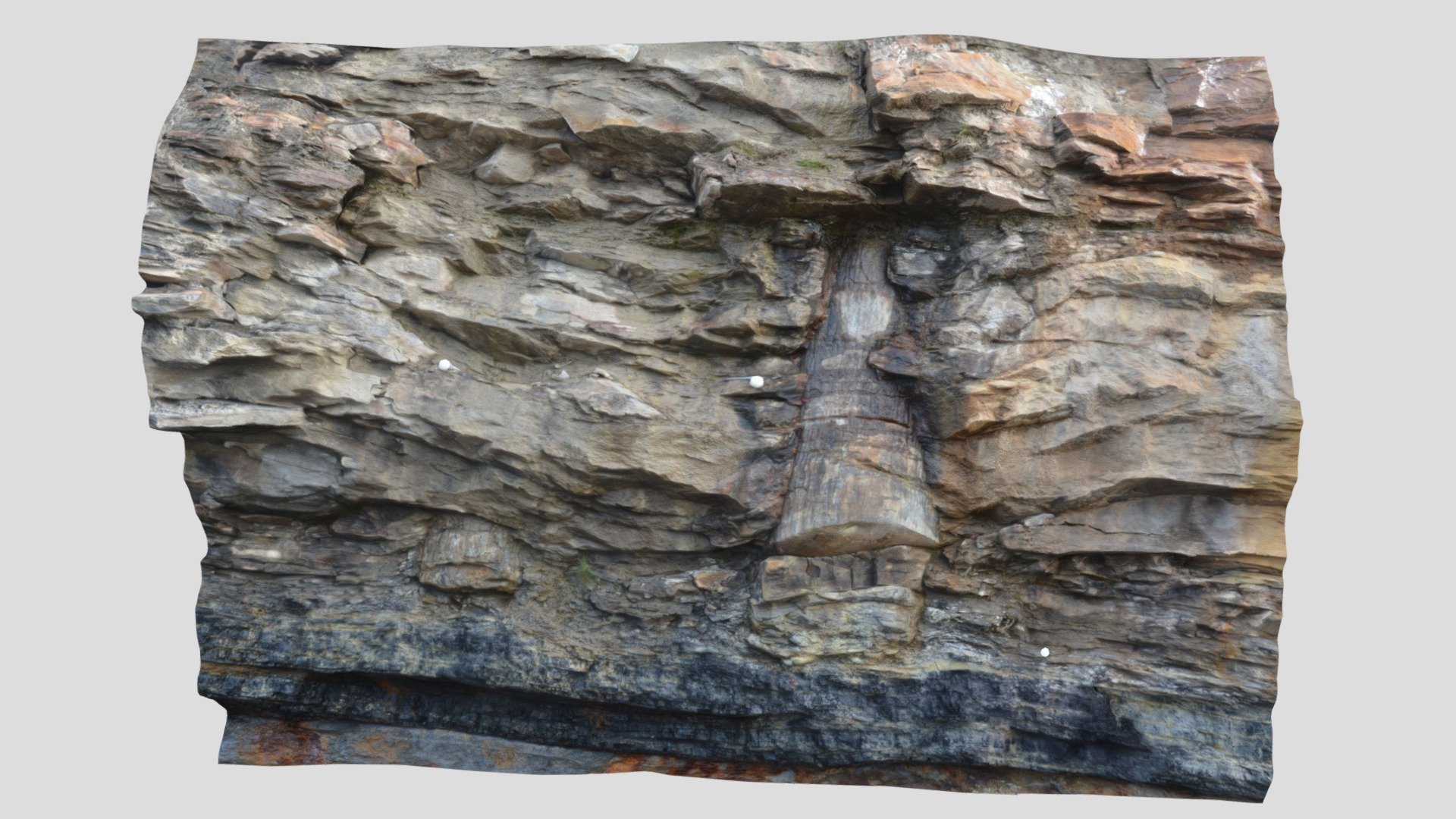Cape Breton Fossil Trees — Sketchfab embed 3D viewer