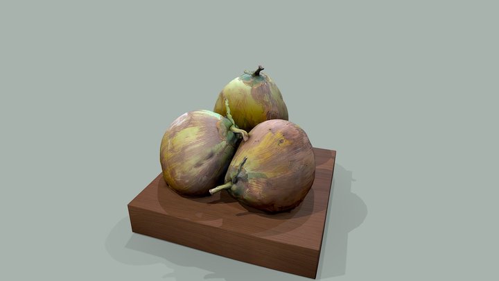 3 coconuts fruits cocos frutas wood 3D Model