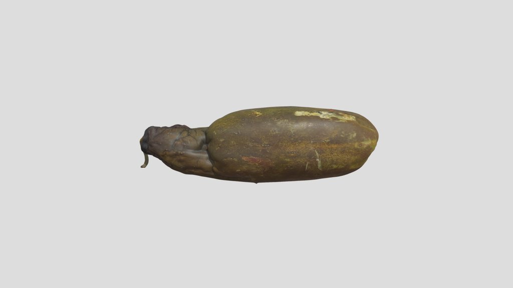 Dried Vegetable Scan