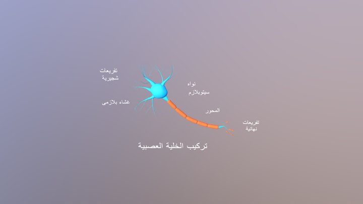 Neuro-fbx-tx 3D Model