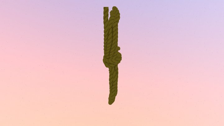 rope-knots 3D Model