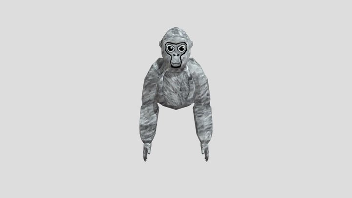 Good gtag rig 3D Model