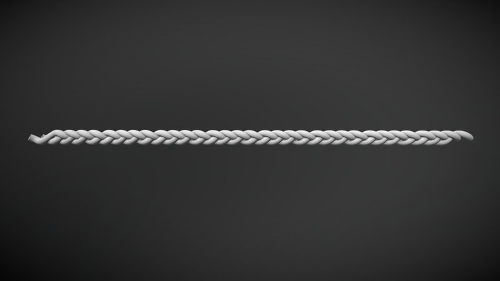 Trança 3D Model