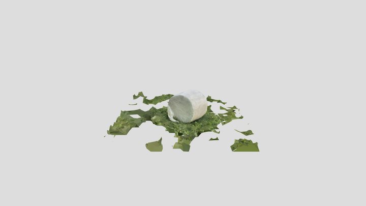 Hay Bale 3D Model