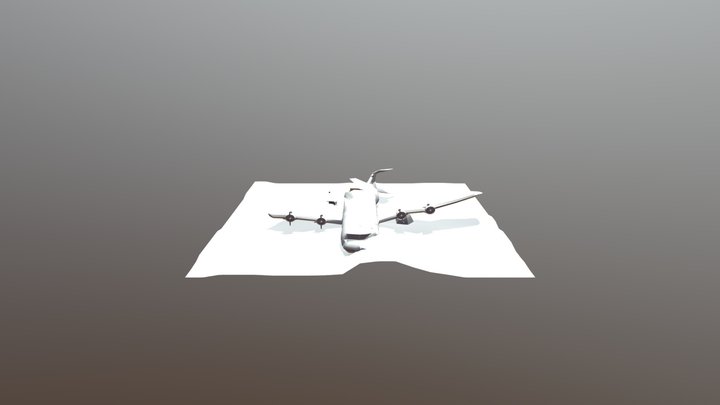 Crashed Plane 3D Model