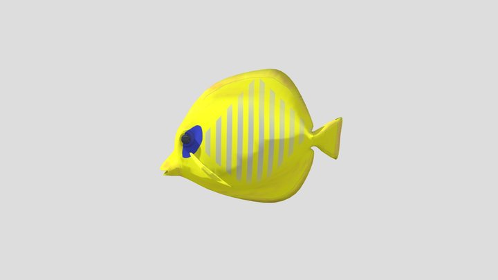Yellow Fish 3D Model