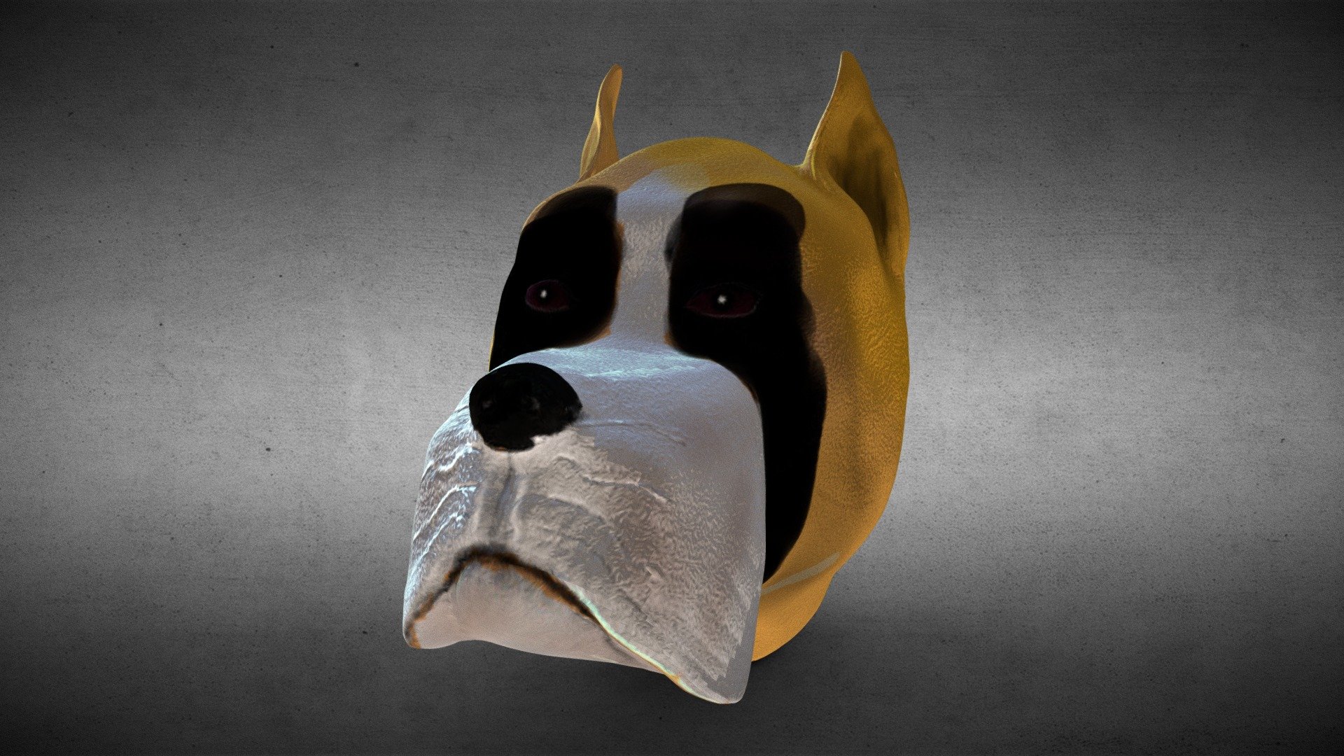 Boxer_Head