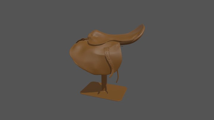 Saddle Display. 3D Model