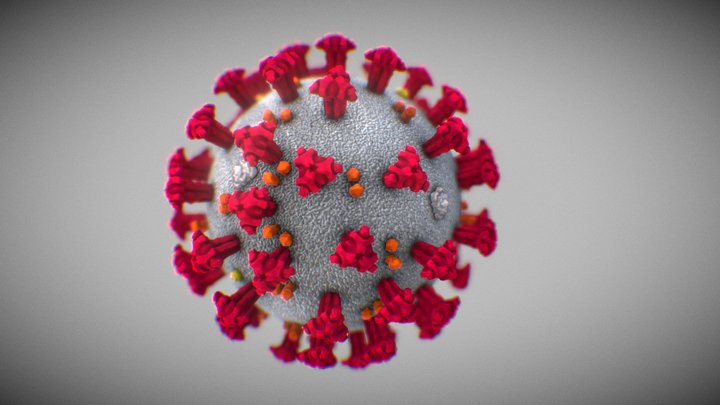 Coronavirus 3D Model