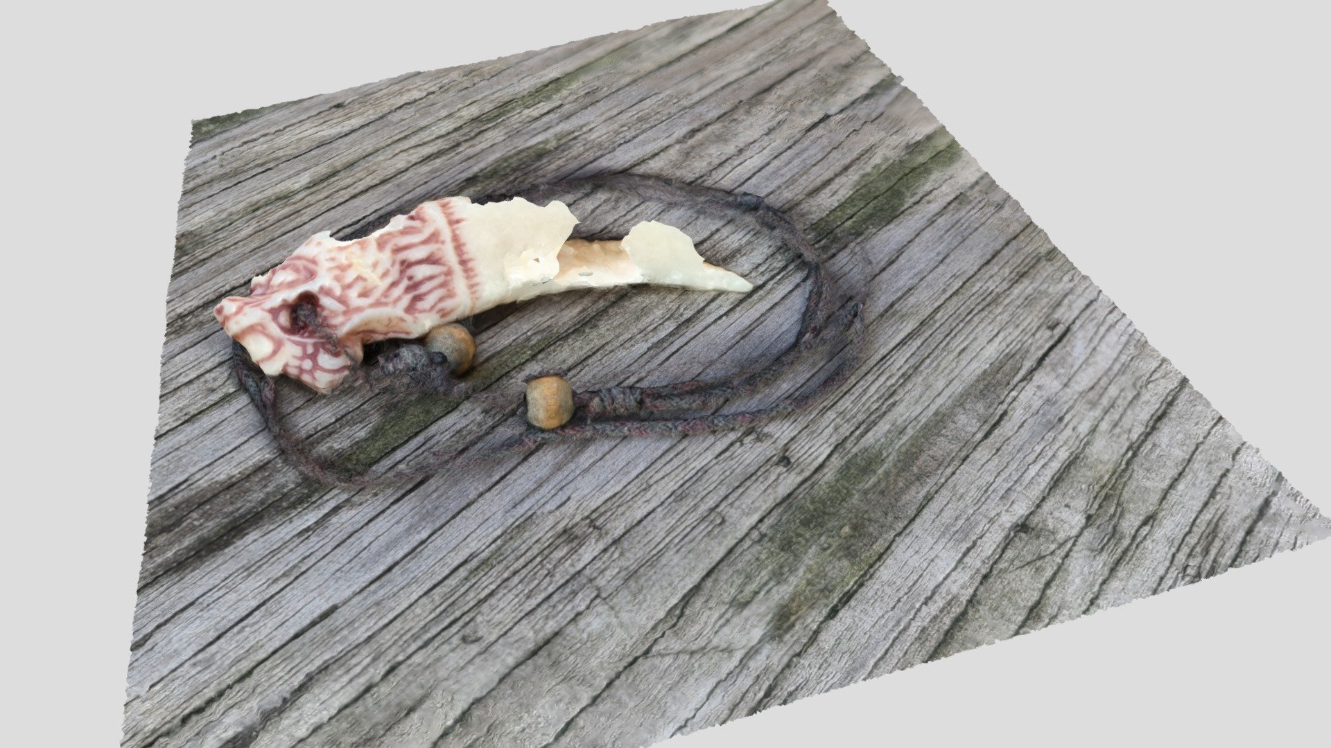 Shark tooth pendant — Sketchfab embed 3D viewer