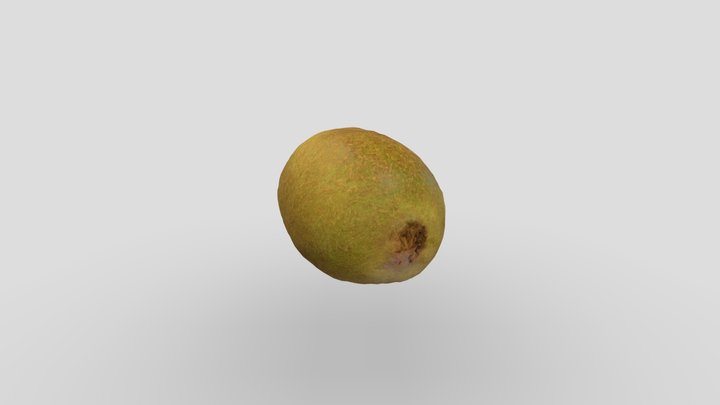 Kiwifruit 3D Model