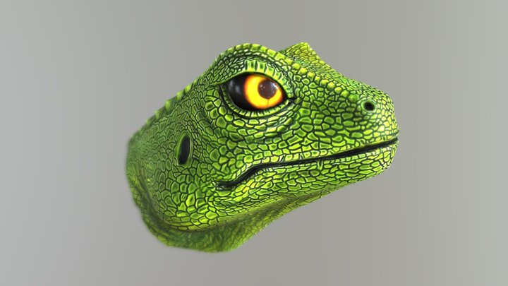 Lizard Head 3D Model